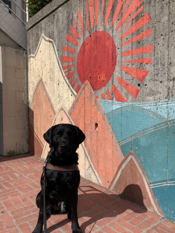Bondi sits in harness in front of a colorful mural of the sun and some waves.