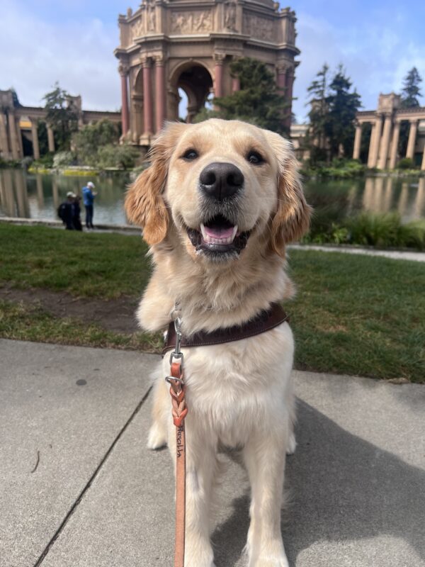 Morgan poses in front of San Francisco’s Palace of Fine Arts. She wears a smile on her face as she proudly wears her harness.