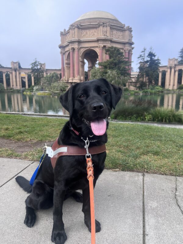 Kahlo poses in front of San Francisco’s Palace of Fine Arts. She wears a smile on her face as she proudly wears her harness.