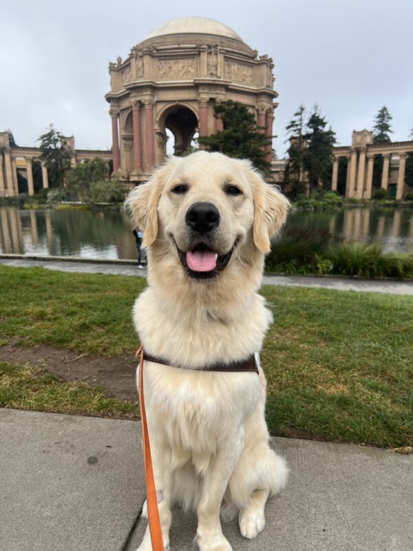Nick poses in front of San Francisco’s Palace of Fine Arts. He wears a smile on her face as he proudly wears his harness.
