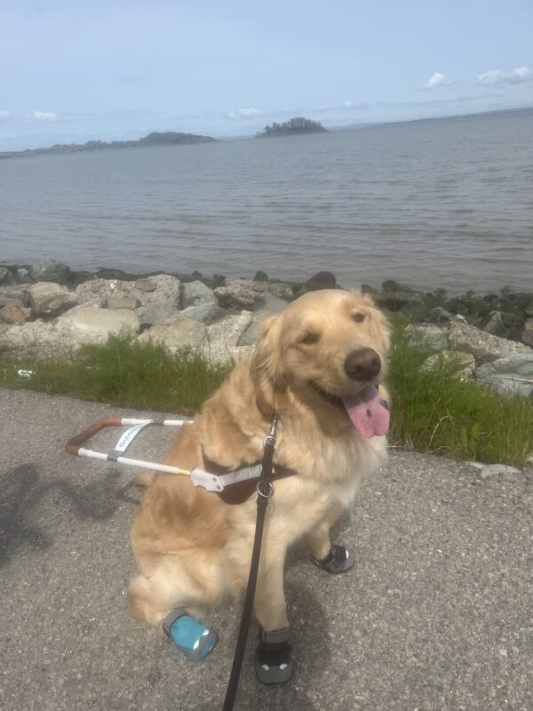 Meyer is pictured wearing his harness and booties. He is standing on a trail in front of the bay.