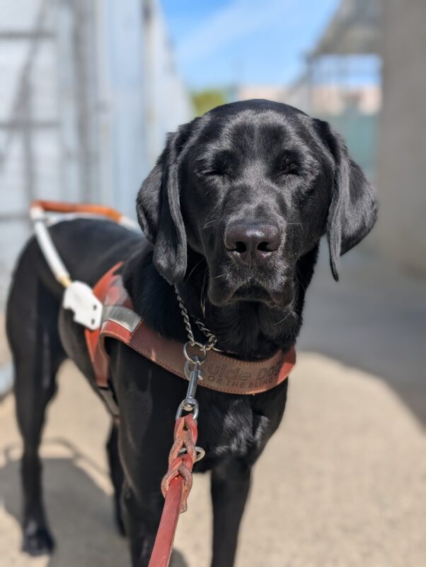 Rocio stands on harness in the California campus. The sun is shining down on her face, so she is squinting her eyes.