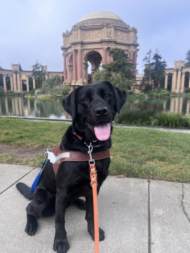 Kahlo poses in front of San Francisco’s Palace of Fine Arts. She wears a smile on her face as she proudly wears her harness.