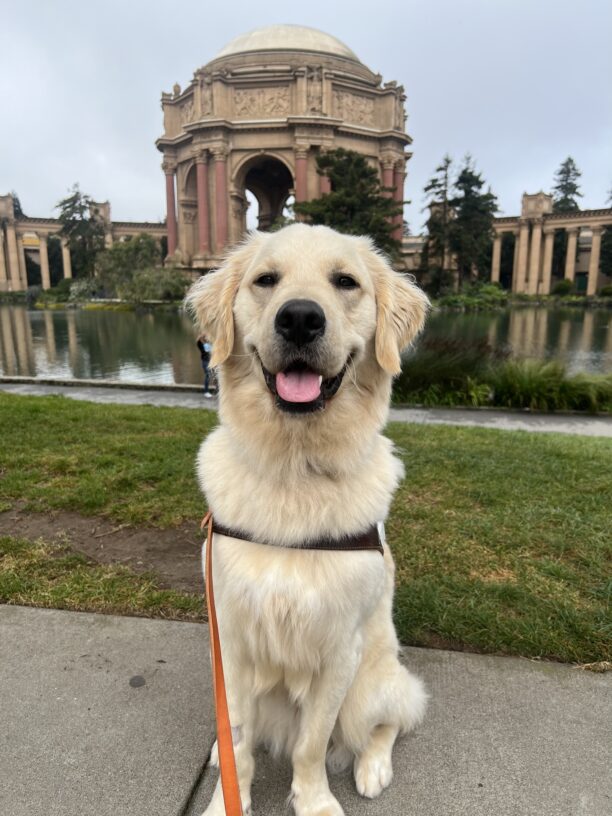 Nick poses in front of San Francisco’s Palace of Fine Arts. He wears a smile on her face as he proudly wears his harness.