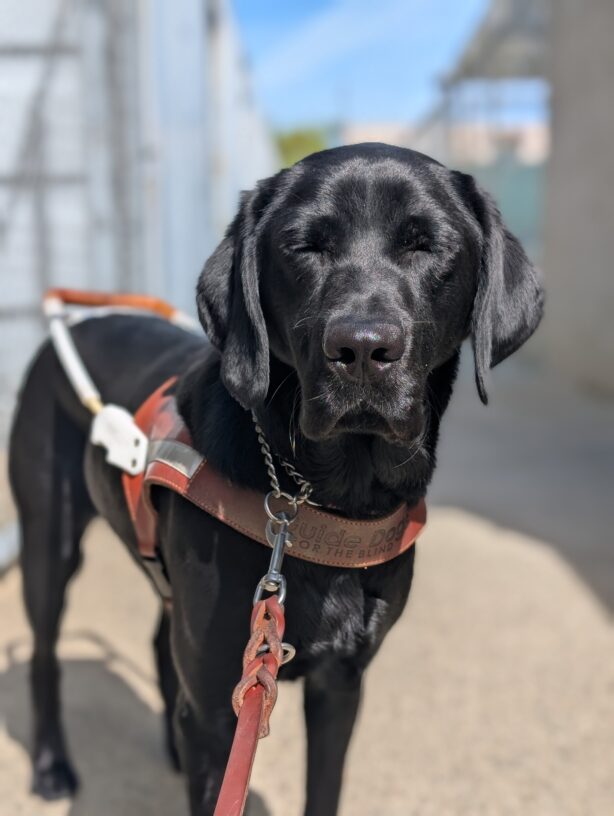 Rocio stands on harness in the California campus. The sun is shining down on her face, so she is squinting her eyes.