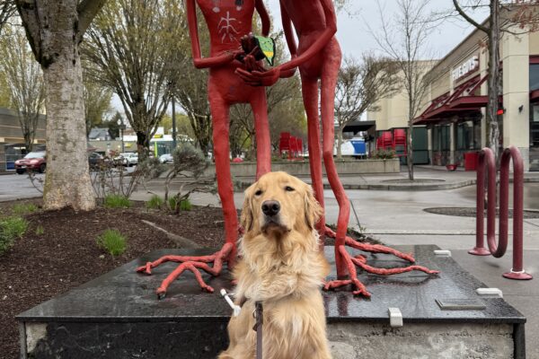 Kudo sitting in front of an artistic sculpture (composed of two figures with branches coming out of their heads and roots for feet) in the Lloyd District of Portland. Kudo is wearing a guide dog harness and facing the camera.