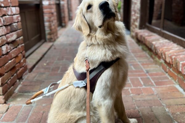 Nick sits wearing his harness in the middle of a rustic brick alleyway. His head is tilted back and he gazes towards the camera.