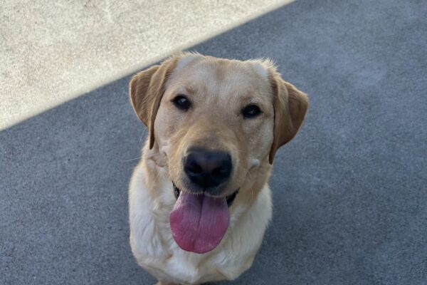 Vianey looks up with an open mouth smile at the camera