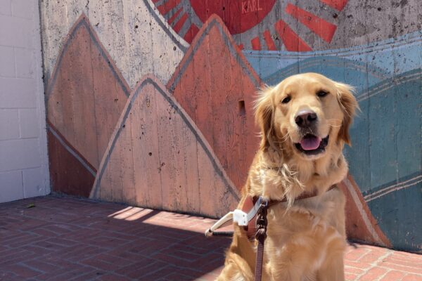 Swift is pictured sitting in harness in front of a colorful mural of some mountains and the sea. She appears to be smiling at the camera.
