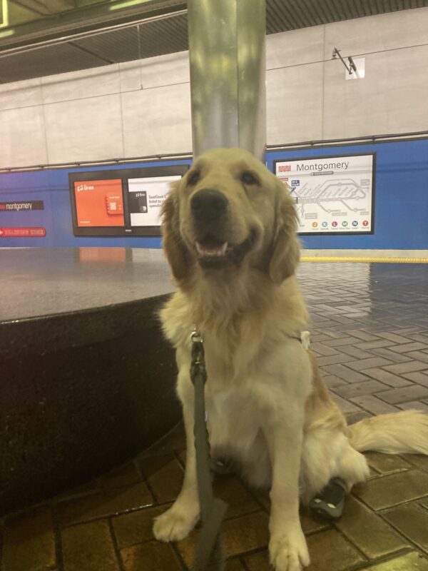 Mathias sits in harness on an underground platform in the city.