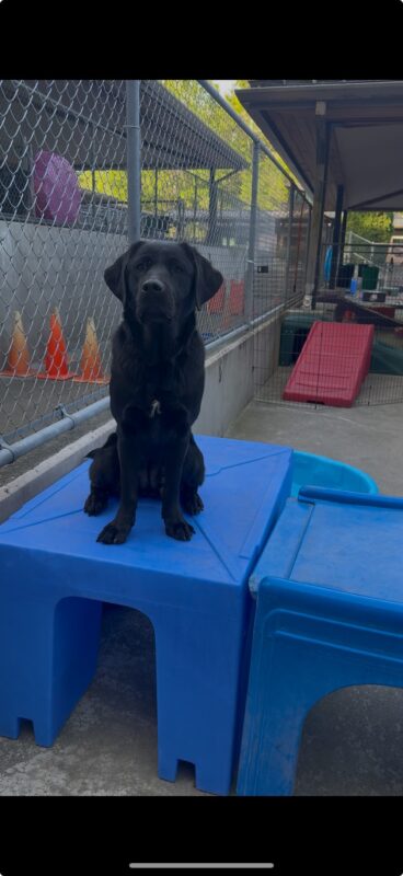 Skyler sits on a play structure in community run.