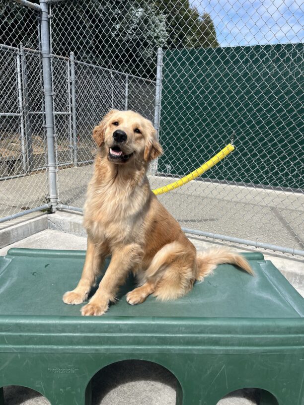 Camden is sitting on a large green play structure located in our campus community run area. He appears to be smiling at the camera.