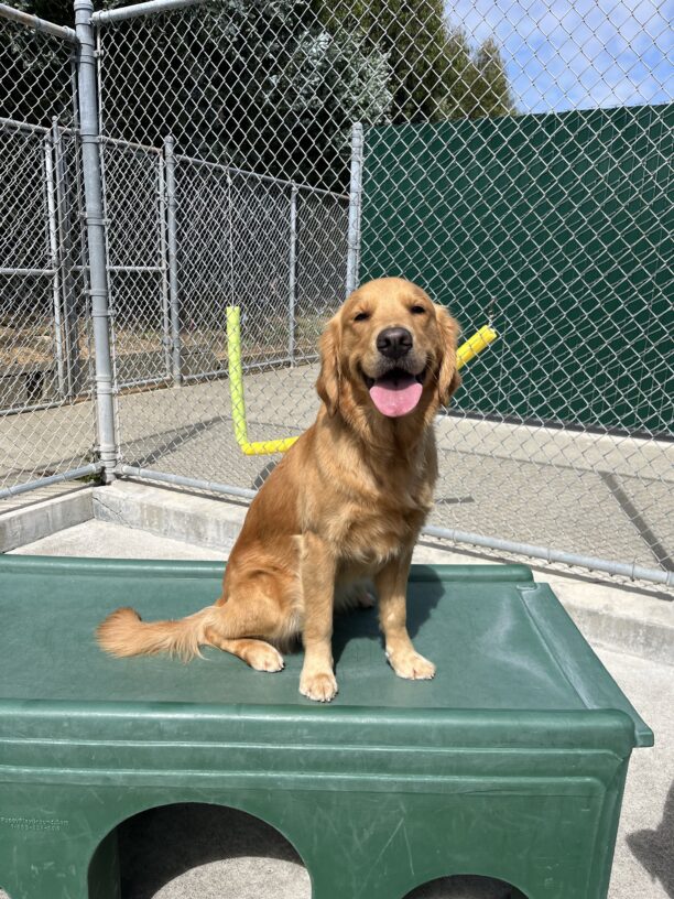 Danika is sitting on a large green play structure located in our campus community run area. She appears to be smiling at the camera.