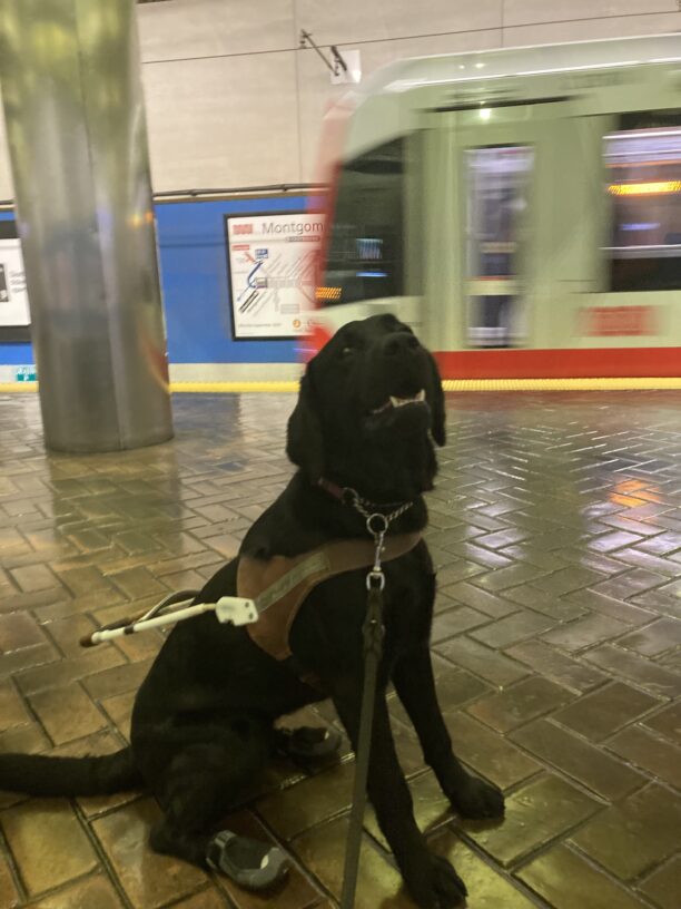 Joya sits in harness on an underground platform with the train in motion in the background.