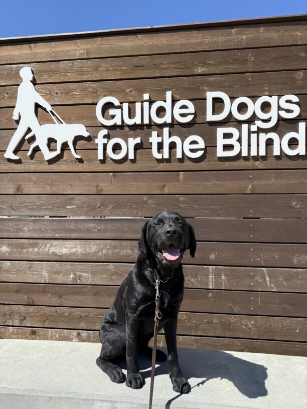 Jackson poses in front of a wooden wall with the GDB logo above him. He has his mouth open in a relaxed smile.