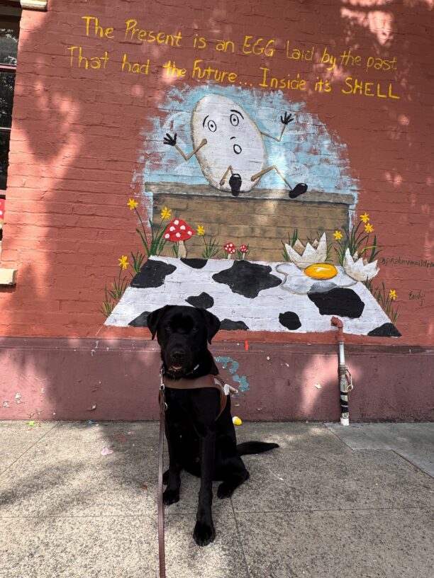 Hayes sits in harness in front of a painted mural. The mural shows a picture of a surprised egg that says