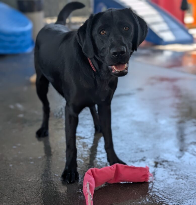 Rocio stands in community run looking at the camera with a smile. There is a pink soft toy at her feet and the floor is wet.