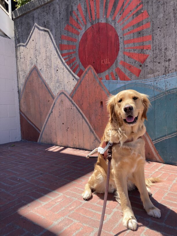 Swift is pictured sitting in harness in front of a colorful mural of some mountains and the sea. She appears to be smiling at the camera.