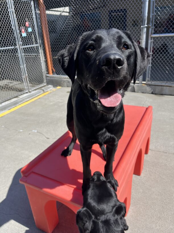 Kilby is pictured sitting on a large red piece of furniture in the gated community run area on campus. He appears to be smiling at the camera.