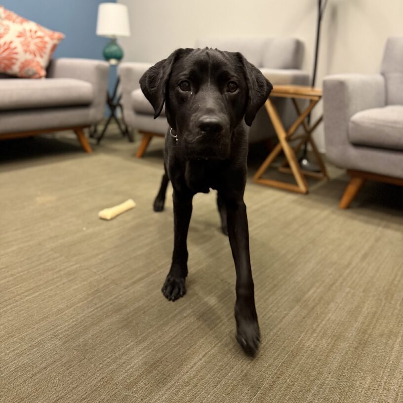 Lonny standing in a living room looking at the camera.