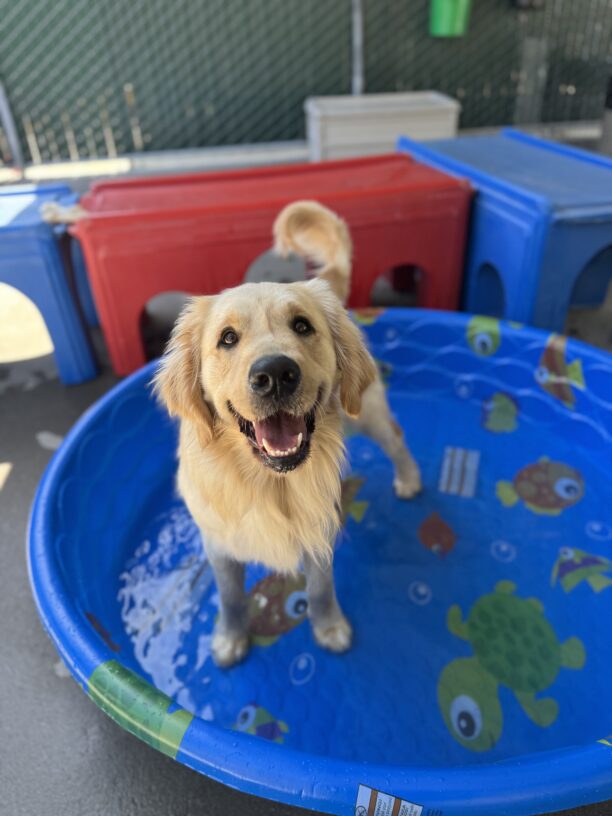 Mariner standing in a kiddie pool in community run, smiling at the camera