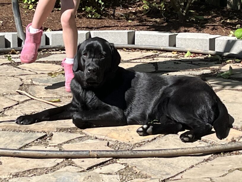 Olena takes a rest in the sunshine on a flagstone patio in the backyard of her foster home.