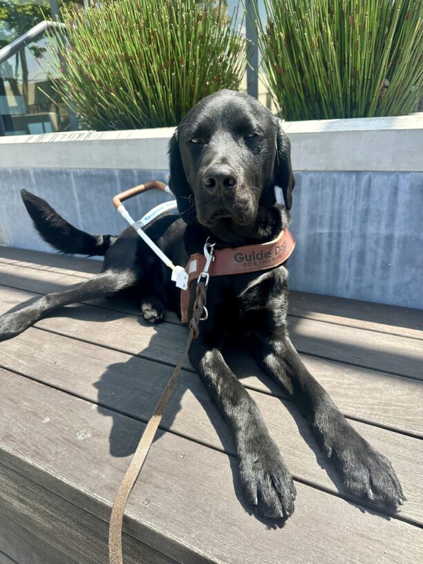 James is laying down on a wooden bench, squinting his eyes with the sun shining directly on him. Behind him is a concrete slab with greenery poking out the top.