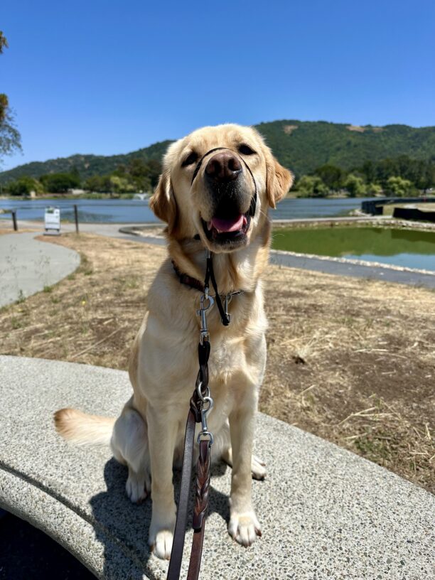 Anya sits on the sidewalk, looking at the camera with a relaxed, open-mouth smile.  Behind her is the Civic Center lagoon.