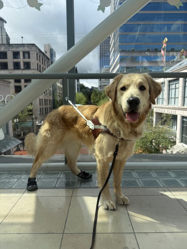 Warrick nailing his portrait picture once again - this time wearing a harness and back boots, on a Mall route in downtown Portland.