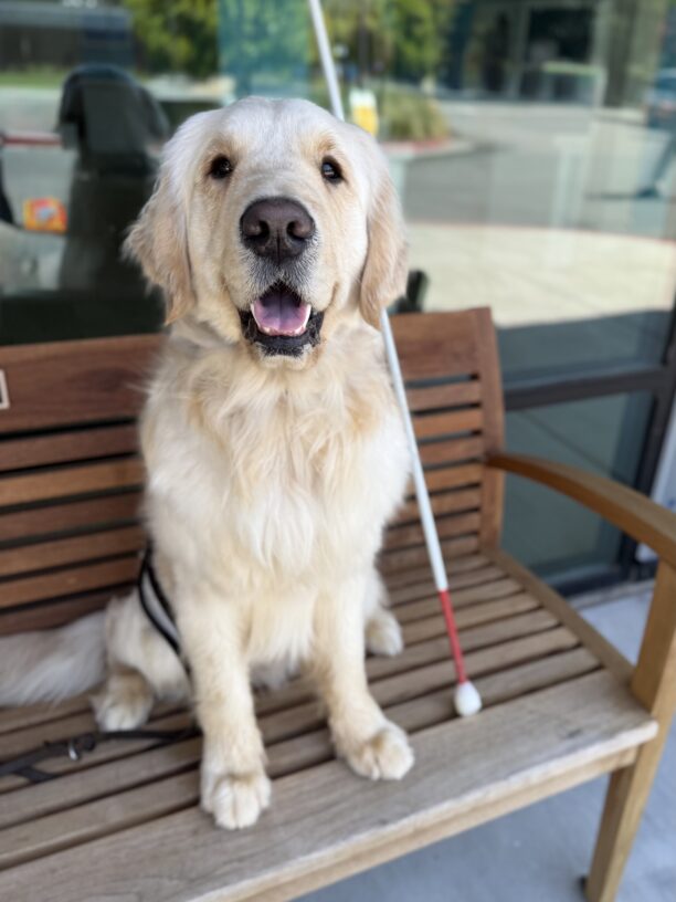 Mills sits on a bench in front of the GDB Learning Lab. Behind him is a large glass window, and propped up at his side is a long white cane with a red tip.