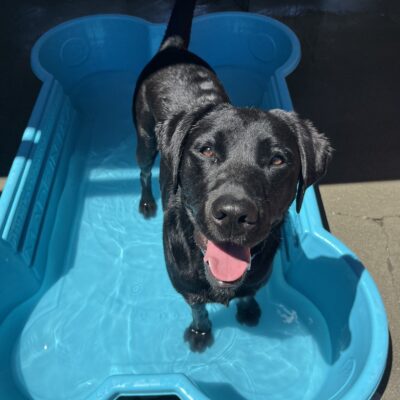 Kilby is pictured on campus, standing in a blue pool shaped like a dog bone, filled with water on a hot day. He appears to be looking up at the camera smiling.
